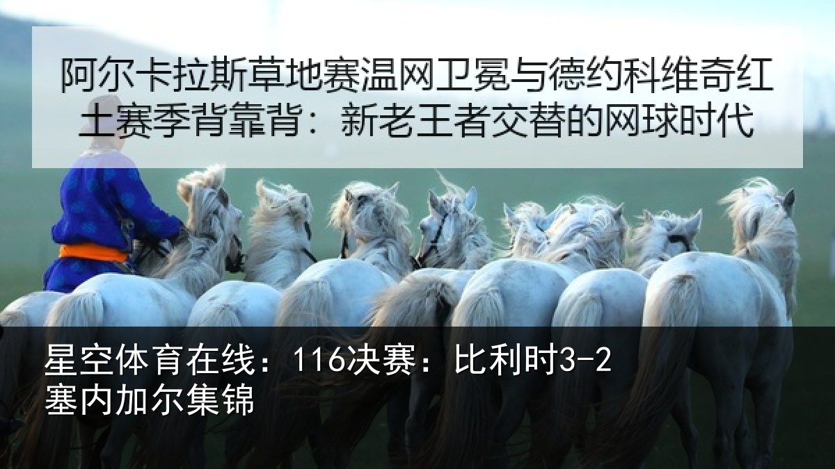 星空体育在线:116决赛:比利时3-2塞内加尔集锦