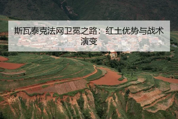 si-wa-tai-ke-fa-wang-wei-mian-zhi-lu-hong-tu-you-shi-yu-zhan-shu-yan-bian-2-806.jpg