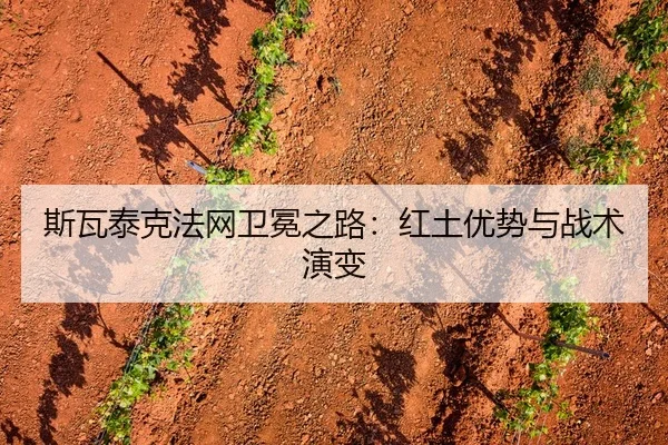 si-wa-tai-ke-fa-wang-wei-mian-zhi-lu-hong-tu-you-shi-yu-zhan-shu-yan-bian-3-674.jpg