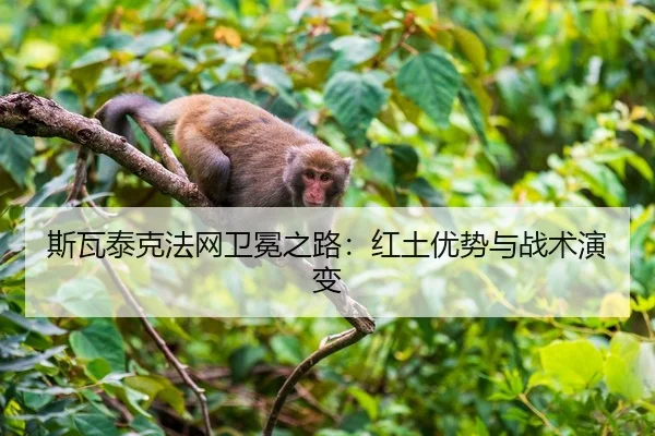 斯瓦泰克法网卫冕之路：红土优势与战术演变