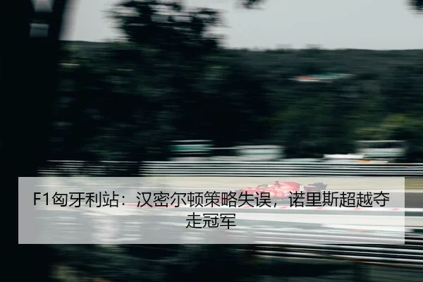 xiong-ya-li-zhan-han-mi-er-dun-ce-lve-shi-wu-nuo-li-si-chao-yue-duo-zou-guan-jun-2-270.jpg
