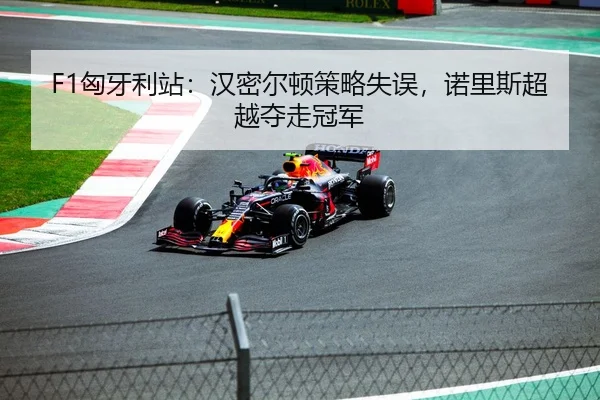 F1匈牙利站：汉密尔顿策略失误，诺里斯超越夺走冠军