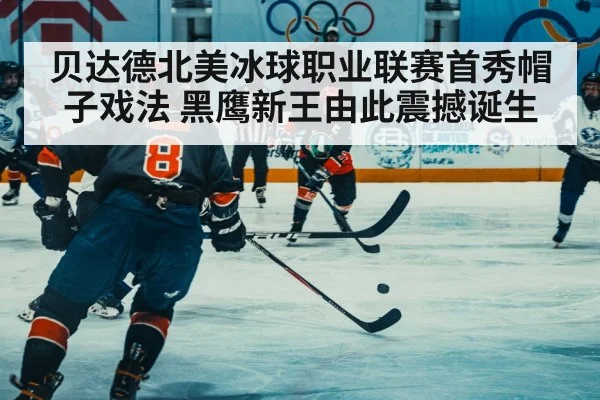 贝达德北美冰球职业联赛首秀帽子戏法 黑鹰新王由此震撼诞生