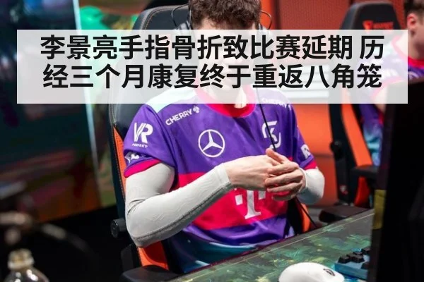 李景亮手指骨折致比赛延期 历经三个月康复终于重返八角笼