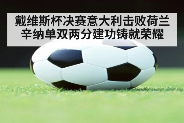戴维斯杯决赛意大利击败荷兰 辛纳单双两分建功铸就荣耀