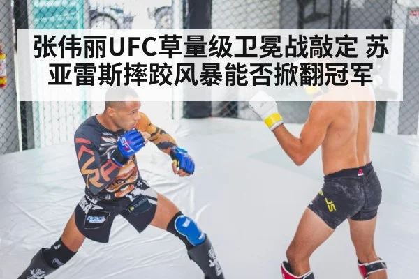 mma fighter training gym